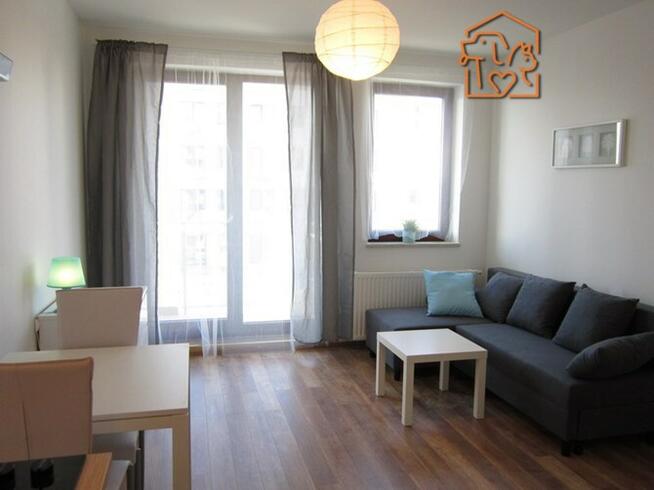 Kawalerka z mp, pet-friendly-Lawendowe Wzgórze 6A