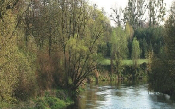 Działka rolna Kompina gm. Nieborów,