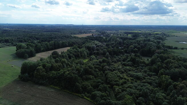Działka, Wólka Nadrybska, 30 ar,