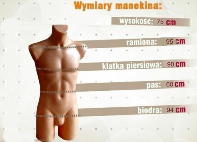 Manekin Tors Damski Długi Beżowy Plastik cielisty Wystawowy