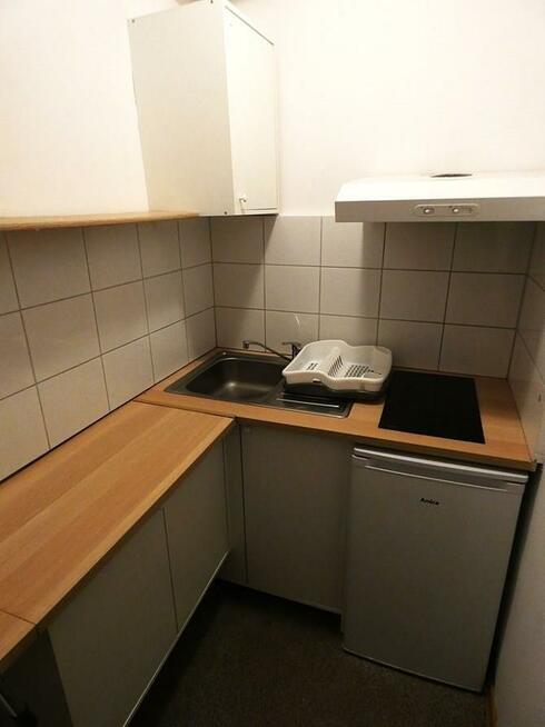 Studio przyjazne dla zwierząt Wojska Polskiego 114