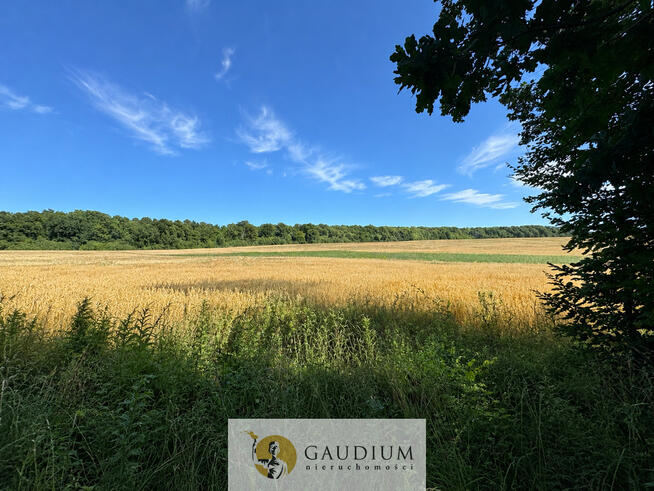 DZIAŁKI BUDOWLANE – KWIATAJNY, GM. PASŁEK