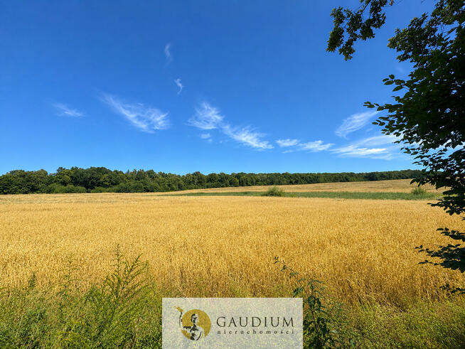 DZIAŁKI BUDOWLANE – KWIATAJNY, GM. PASŁEK