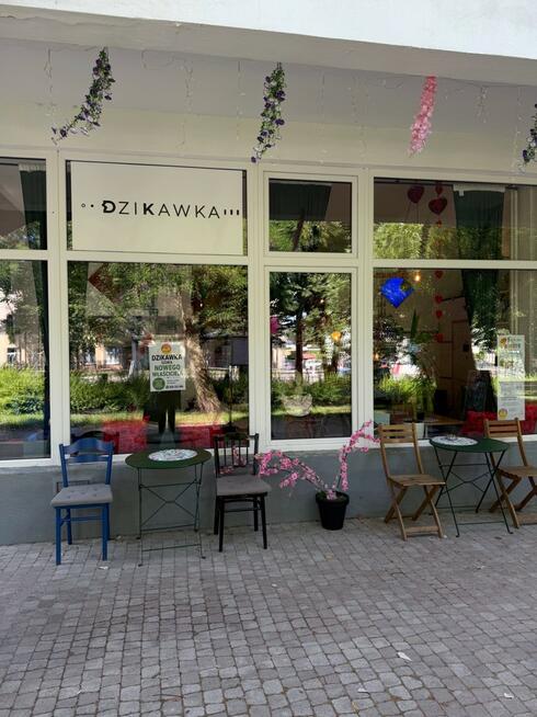 Gotowy biznes na sprzedaż w Sopocie.