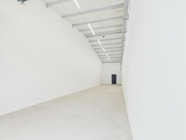 Biuro z Nową Halą | 113 m² Najmu