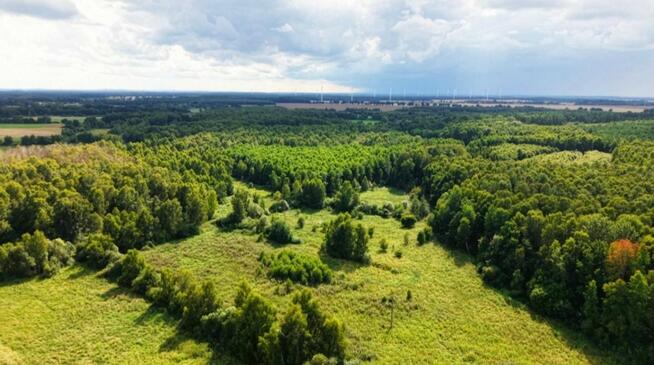 Działka budowlana 1560 m² | MPZP | Sycewice k. Słupska | 115 000 zł