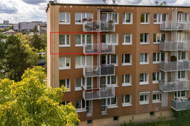 Przy Galerii Plaza, bardzo zadbane, wśród zieleni