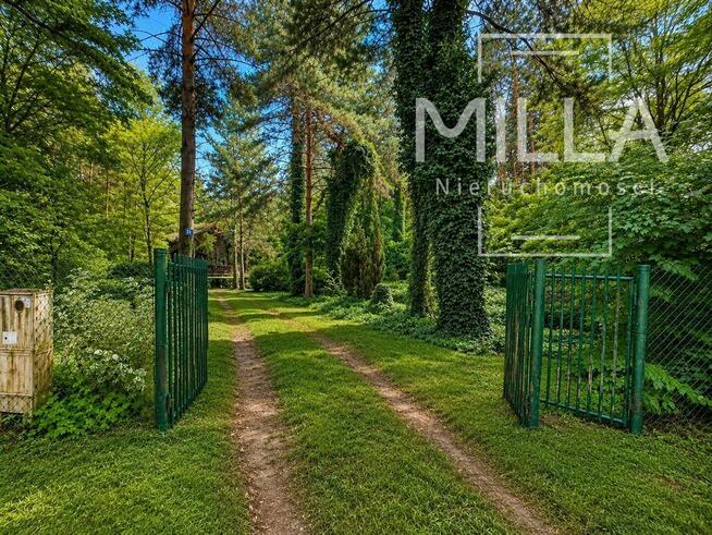 Leśne siedlisko z domkiem | 2361m2 | Gmina Zgierz