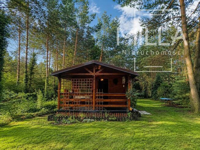 Leśne siedlisko z domkiem | 2361m2 | Gmina Zgierz