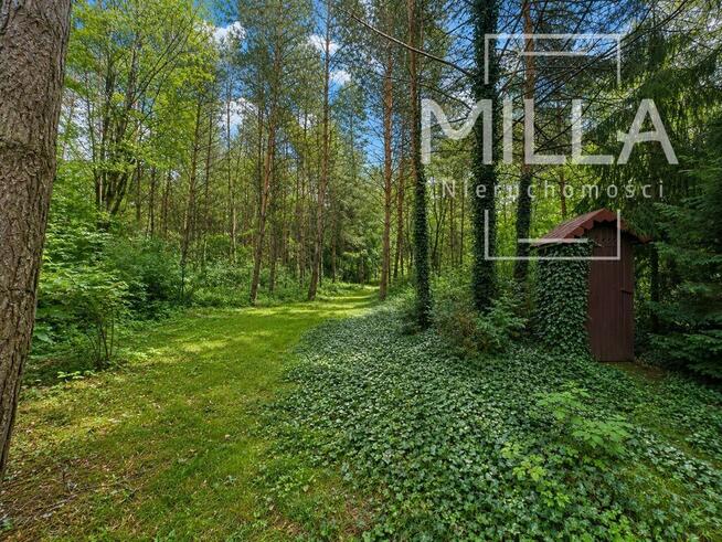Leśne siedlisko z domkiem | 2361m2 | Gmina Zgierz
