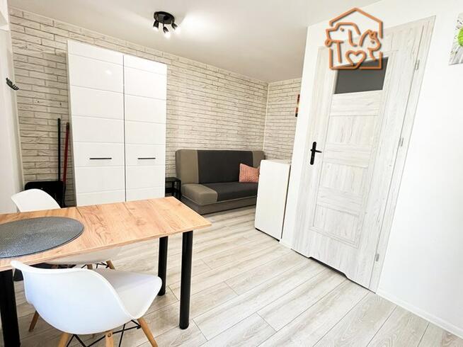 Chełmińska 2, Okole, studio przyjazne zwierzętom