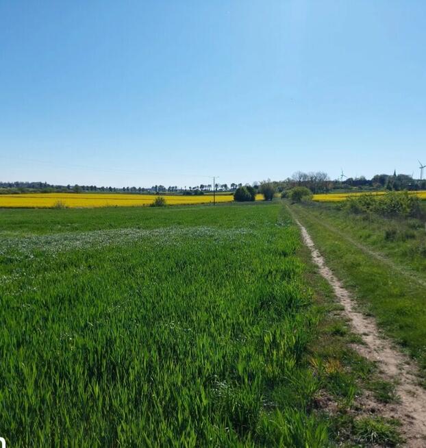 Działka Nad Morzem- MEGA OKAZJA -17 zł/m2