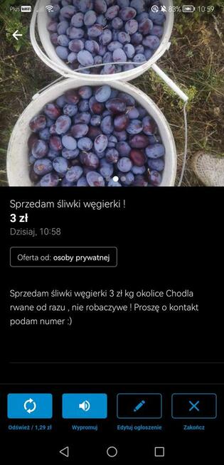 Sprzedam sliwki węgierki