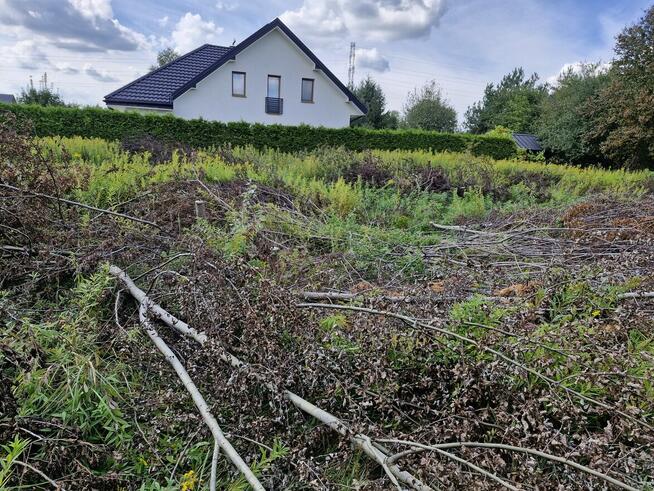 Oddam za darmo wycięte drzewa i krzewy