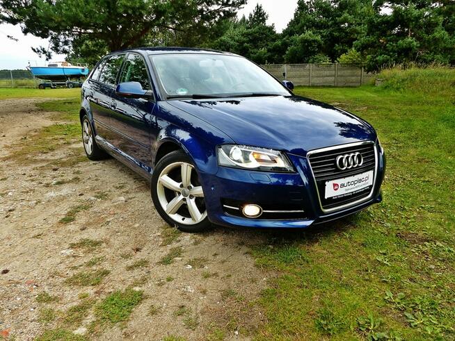 Audi A3 1.2 TFSI*Klima*Alu*Xenon*Pełna Elektryka*Zadbany*Super Stan*ZOBACZ!!!