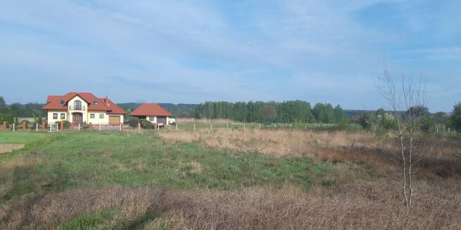 Twoje miejsce na dom wśród zieleni – Koźla, 2400 m²