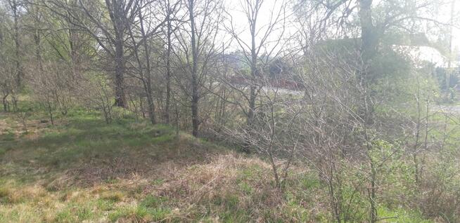 Twoje miejsce na dom wśród zieleni – Koźla, 2400 m²
