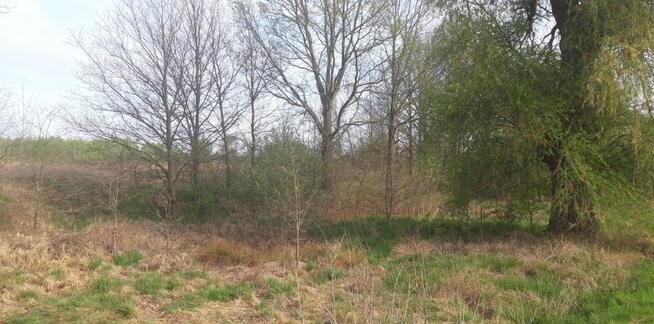 Twoje miejsce na dom wśród zieleni – Koźla, 2400 m²