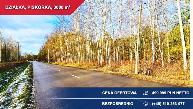 Działka budowlana 3000 m² PRZY LESIE – Piskórka, gm. Prażmów