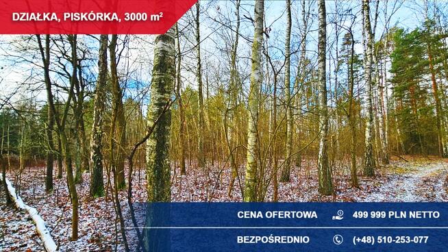 Działka budowlana 3000 m² PRZY LESIE – Piskórka, gm. Prażmów
