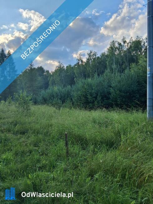 Działka budowlana, przy lesie, na sprzedaż, 800m2, 12 km od Kielc, 3km od Daleszyc