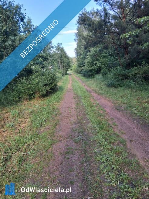 Działka budowlana, przy lesie, na sprzedaż, 800m2, 12 km od Kielc, 3km od Daleszyc