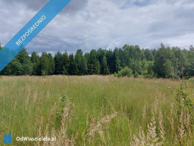 Działka 2,82 ha na sprzedaż – Wiluki
