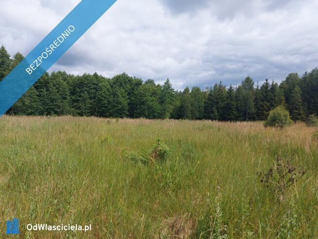 Działka 2,82 ha na sprzedaż – Wiluki