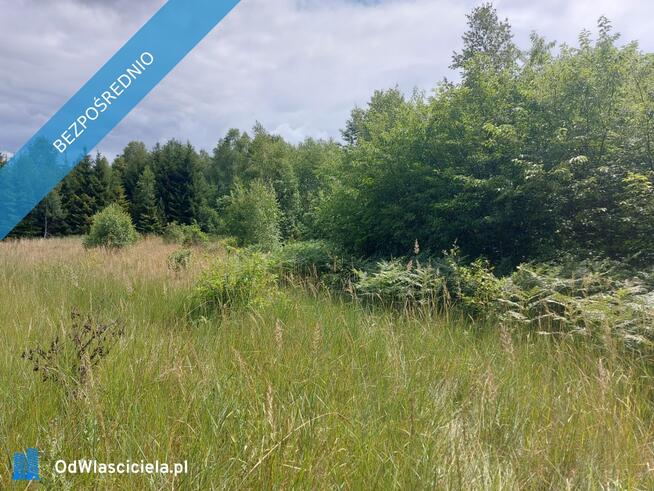 Działka 2,82 ha na sprzedaż – Wiluki