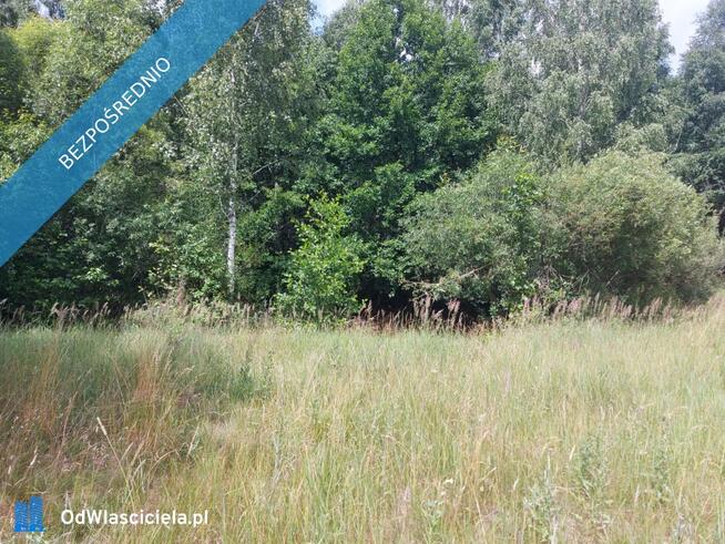Działka 2,82 ha na sprzedaż – Wiluki