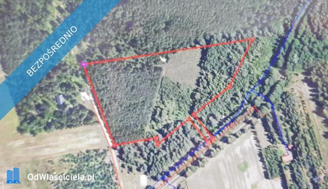 Działka 2,82 ha na sprzedaż – Wiluki