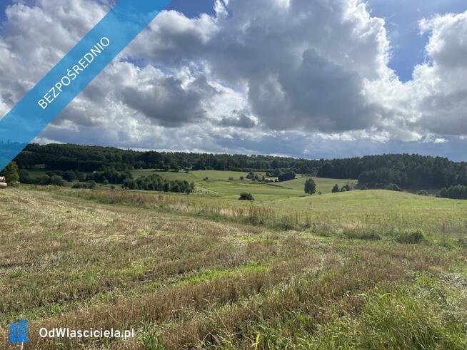Działka siedliskowa 3 003 m² z prawem zabudowy (Sopieszyno)