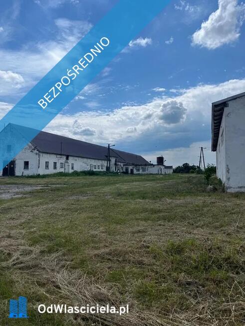 Ferma trzoda/drobiu