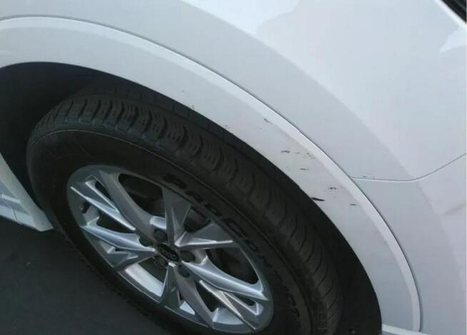 Audi Q3 Bogata wersja wyposażenia / Quattro / S-Line / niski przebieg