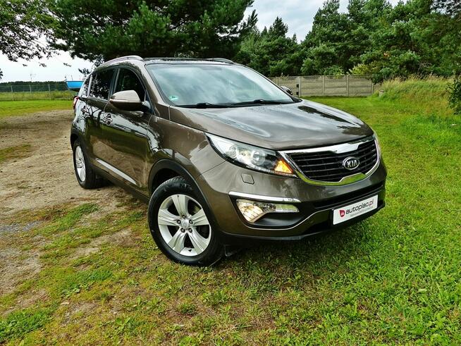 Kia Sportage 2.0 MPI*Panorama*Klima*Alu*Xenon*Led*Skóry*P.Elektryka*Śliczny Kolor!!