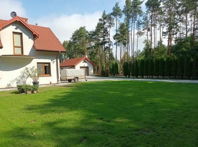Zjawiskowy domek w lesie -oaza ciszy i spokoju