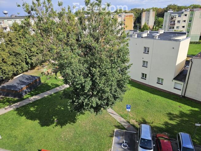 3 pokoje 64,7 m2 z loggią Os. Centrum Międzyrzecz