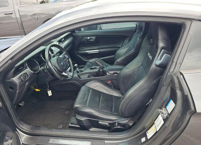 Ford Mustang GT Premium / 5.0 V8 / niski przebieg