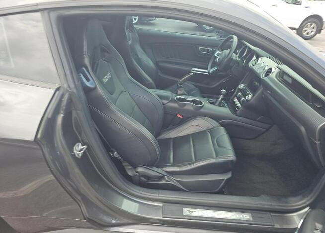 Ford Mustang GT Premium / 5.0 V8 / niski przebieg