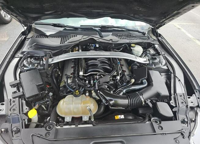 Ford Mustang GT Premium / 5.0 V8 / niski przebieg