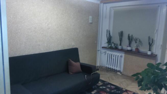 Mieszkanie na wynajem 35m2 , 2 pokoje Grójec os. Polna
