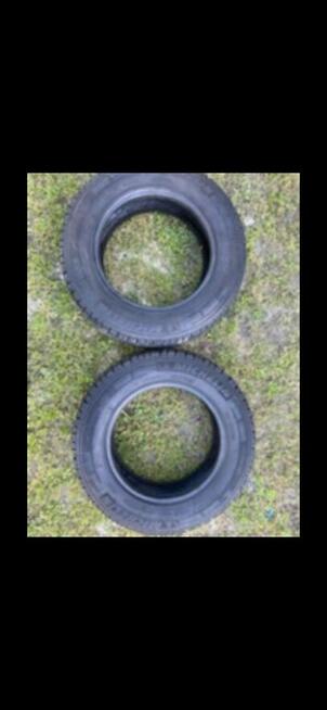 Opony zimowe Michelin Agilis 195/75/16