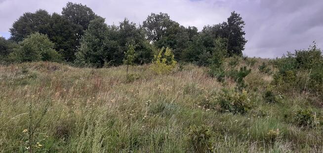 Działka rekreacyjna nad jeziorem, 706m2, prąd, woda, Chodecz