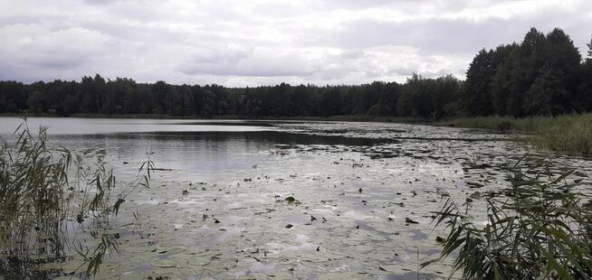 Działka rekreacyjna nad jeziorem, 706m2, prąd, woda, Chodecz