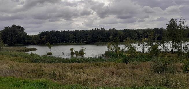 Działka rekreacyjna 624m2, nad jeziorem, prąd, woda, Chodecz