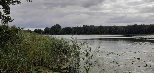 Działka rekreacyjna 624m2, nad jeziorem, prąd, woda, Chodecz