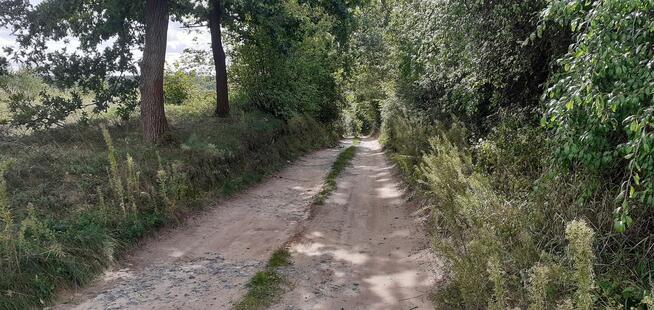 Działka rekreacyjna 624m2, nad jeziorem, prąd, woda, Chodecz