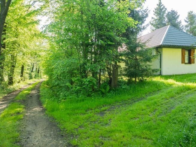 Klimatyczny dom wśród zieleni | 9700 m² | Chronów