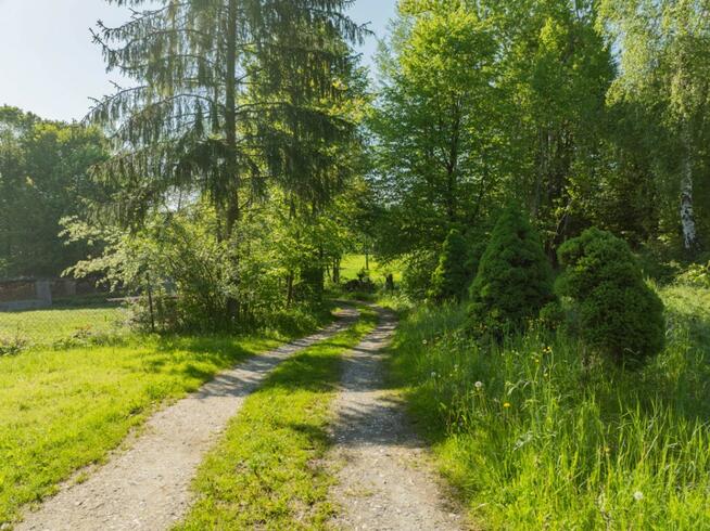 Klimatyczny dom wśród zieleni | 9700 m² | Chronów