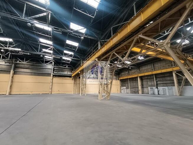 Lokal użytkowy Warszawa Bielany, Wólczyńska